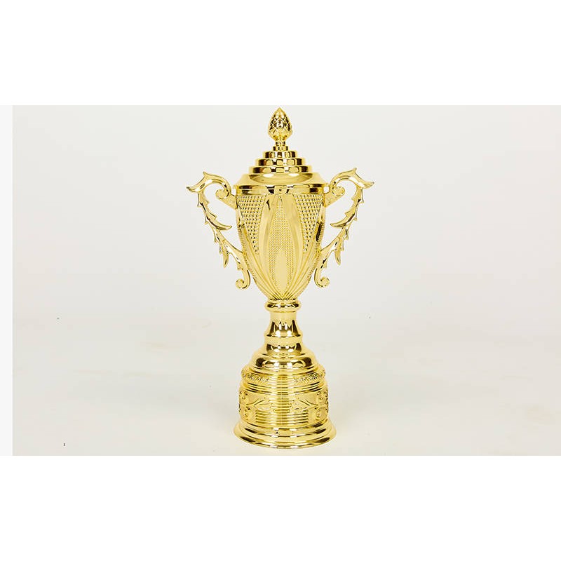 

Кубок спортивный с ручками и крышкой PlayGame Reward 49 см, код: HB4112A