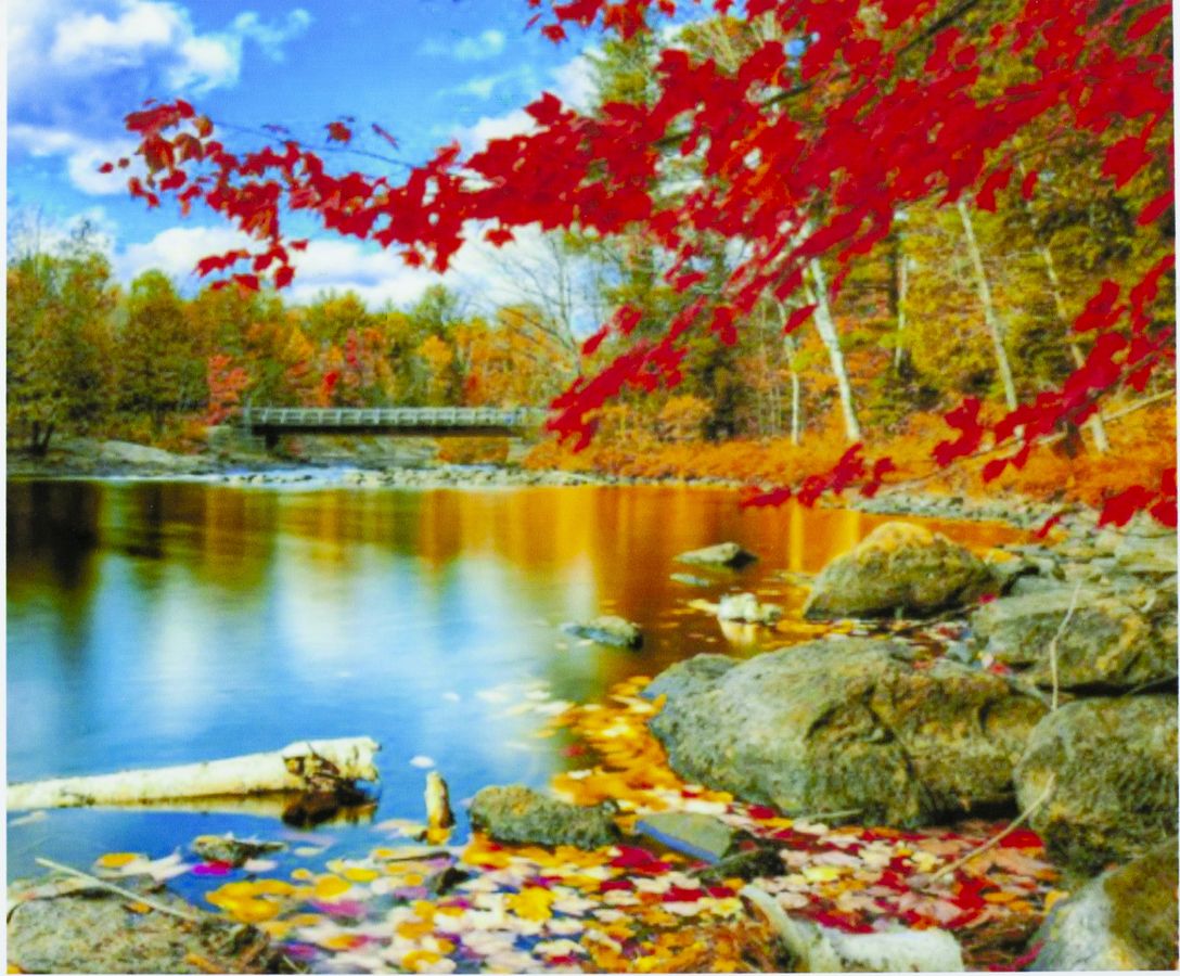 

Набор для росписи картины в коробке по номерам Shinerichy Ind. "Озеро в лесу" 40*50 см