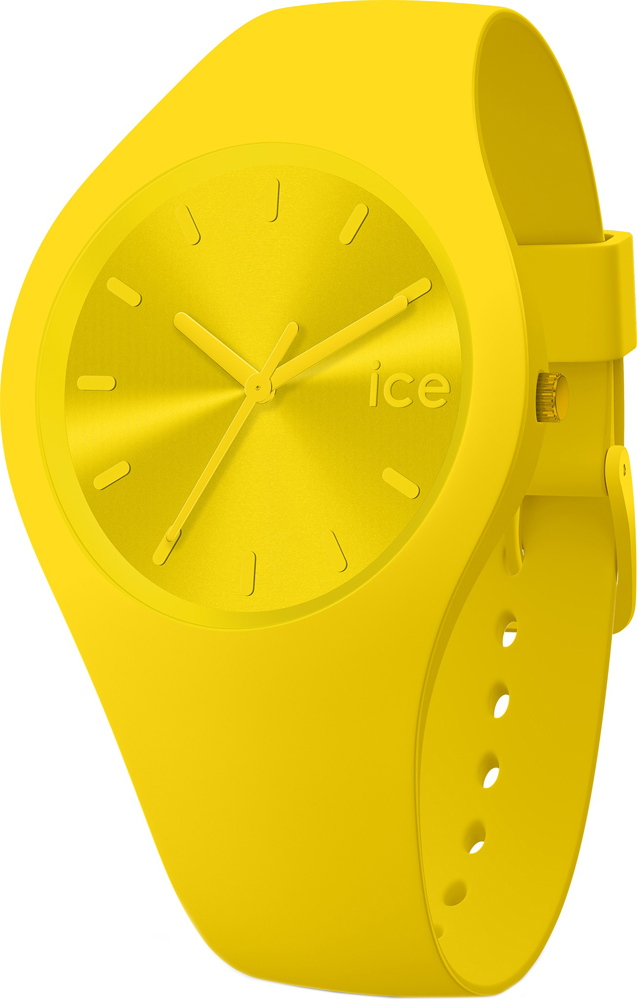 

Женские часы ICE Watch ICE.017909