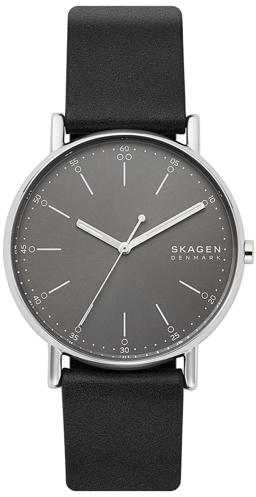 

Мужские часы Skagen SKW6654