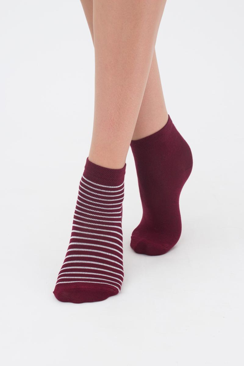 

Носки GIULIA KS2 CLASSIC + KS2 BASIC 002 20-22 Р Marsala