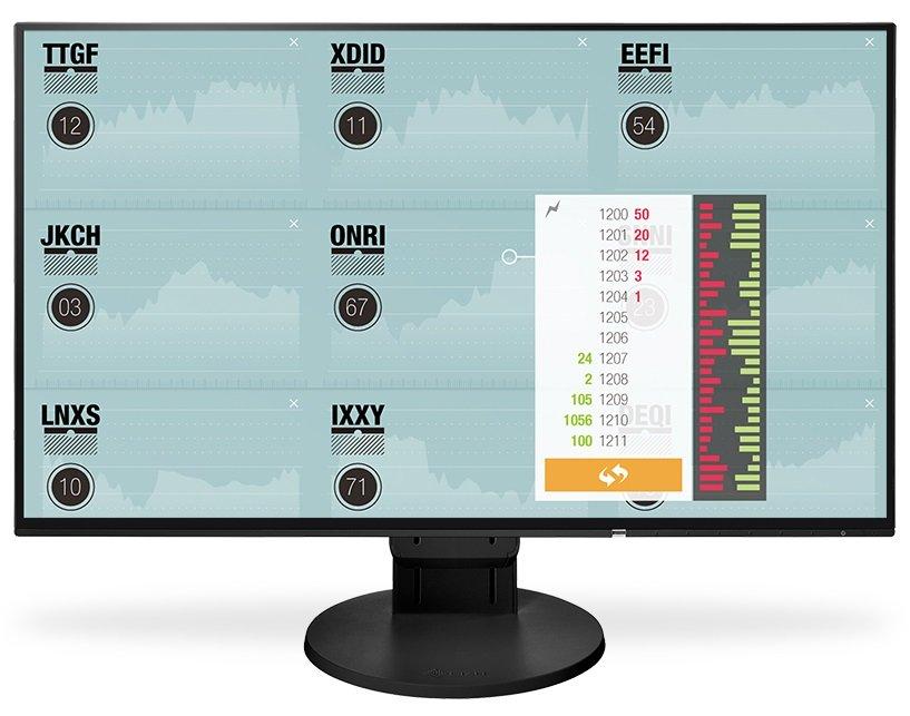 

Монитор EIZO FlexScan EV2451-BK