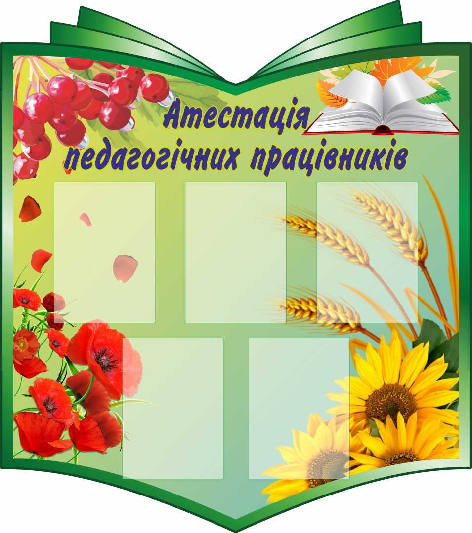 

Аттестация педагогических работников ColorIT МС110015
