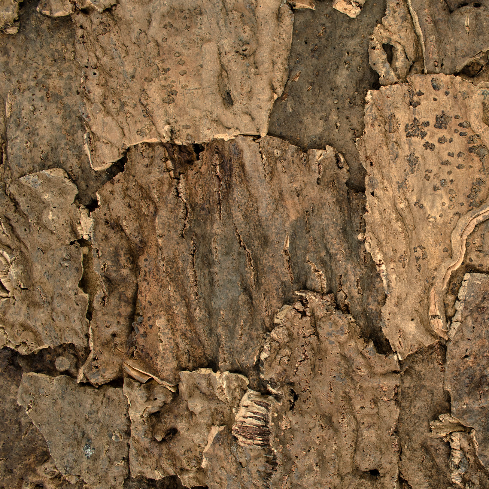 

Кора пробкового дуба Cork-System Cameleon