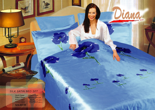

Комплект постельного белья Le Vele Weasel Blue Diana Евро