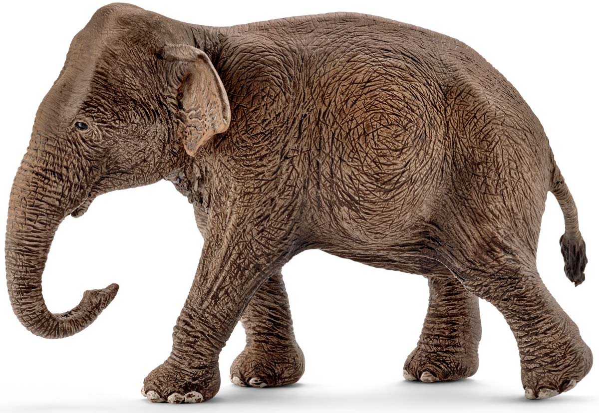 

Игрушка-фигурка Schleich Самка индийского слона (14753)