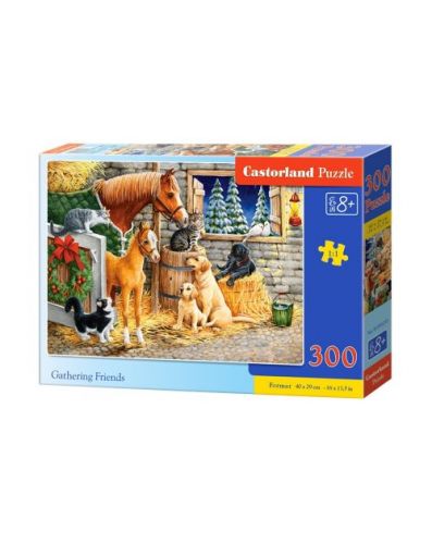 

Пазлы Castorland "Встреча друзей" (300 элементов) В-030255 10157721