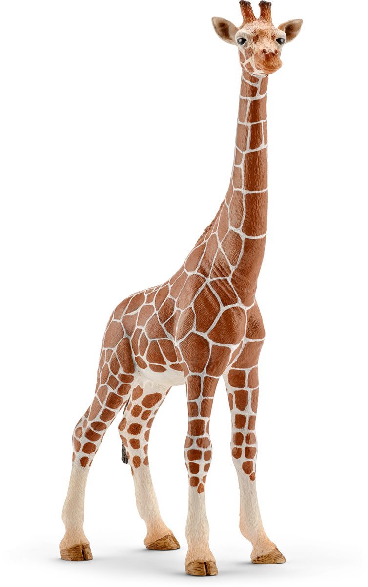 

Жираф (самка), игрушка-фигурка, Schleich (14750)