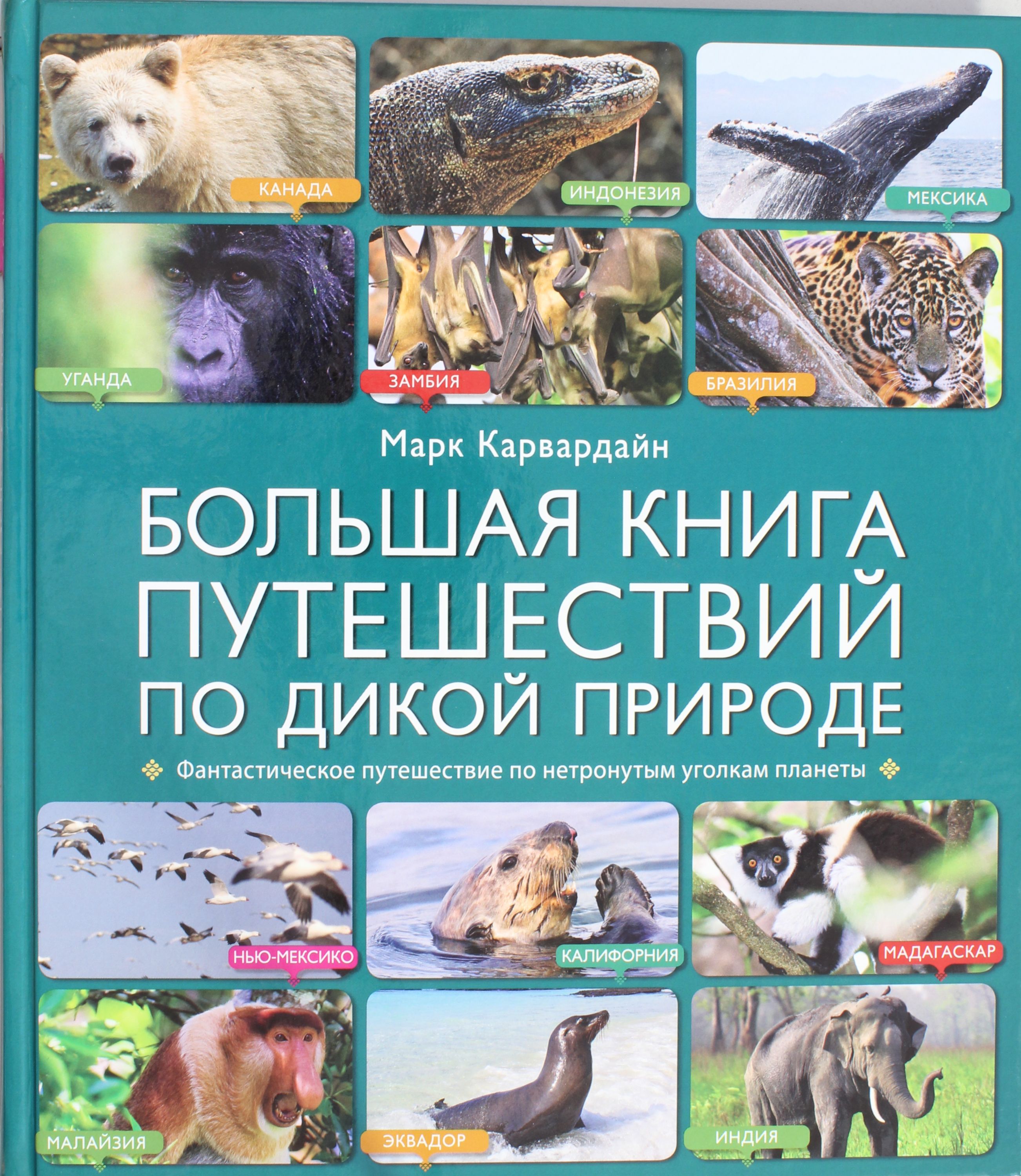 

Большая книга путешествий по дикой природе