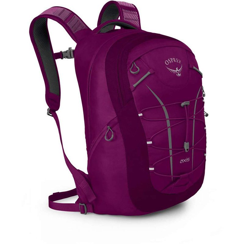 

Городской рюкзак Osprey Axis 18 Eggplant Purple O/S (009.1802)