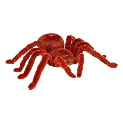 

Паук радиоуправляемый Shantou Птицеед (17-6087435)