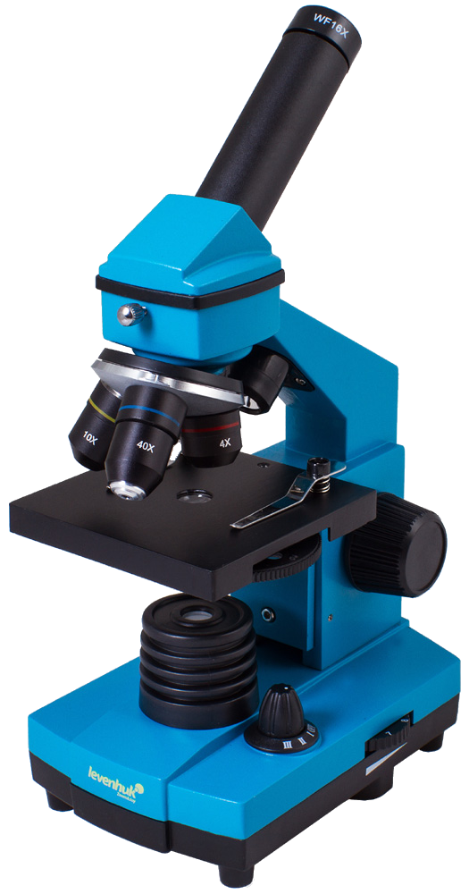 

Микроскоп Levenhuk Rainbow 2L PLUS Azure\Лазурь, Levenhuk, 69093