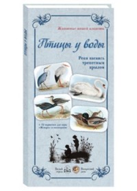 

Птицы у воды. Реки касаясь трепетным крылом (14261586)
