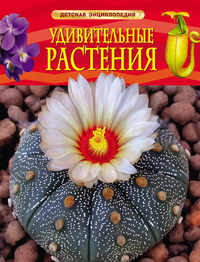 

Удивительные растения (13551476)