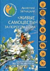 

`Живые самоцветы` за порогом дома. Удивительные беспозвоночные (15209523)