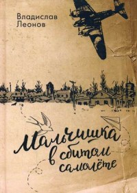 

Мальчишка в сбитом самолете (14310106)
