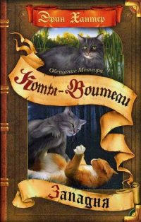 

Обещание Метеора. Книга 1. Западня (13410179)