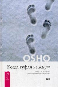 

Когда туфли не жмут. Беседы по историям даосского мистика Чжуан-цзы (13518793)