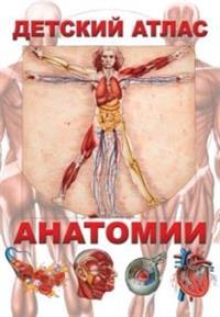 

Детский атлас анатомии (13634673)