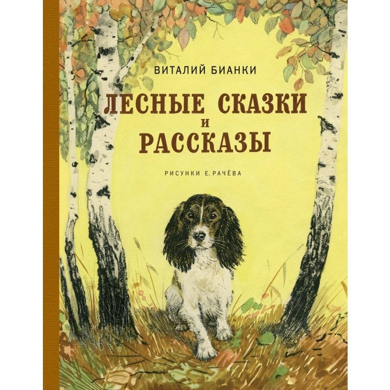 

Бианки В. Лесные сказки и рассказы Азбука