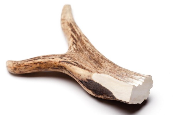 

Натуральное лакомство DogsRogs рога лося Супер-твердые для собак средних и крупных пород 20 см