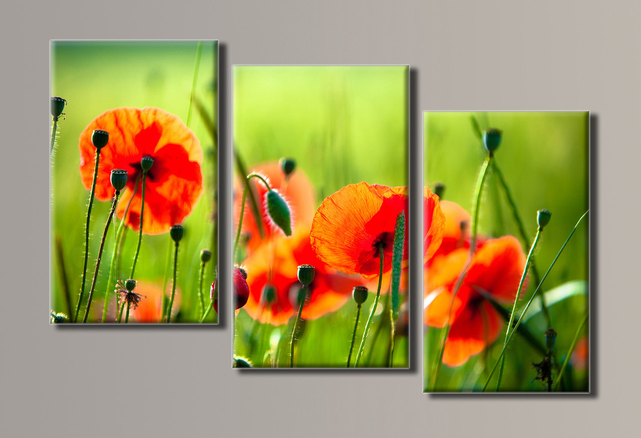 

Модульная картина Art&Print Маки 96х63 см (HAT-035 )