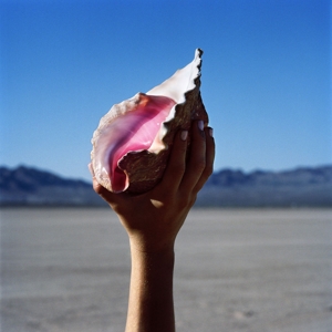 

Виниловая пластинка The Killers Wonderful Wonderful (арт. 68)
