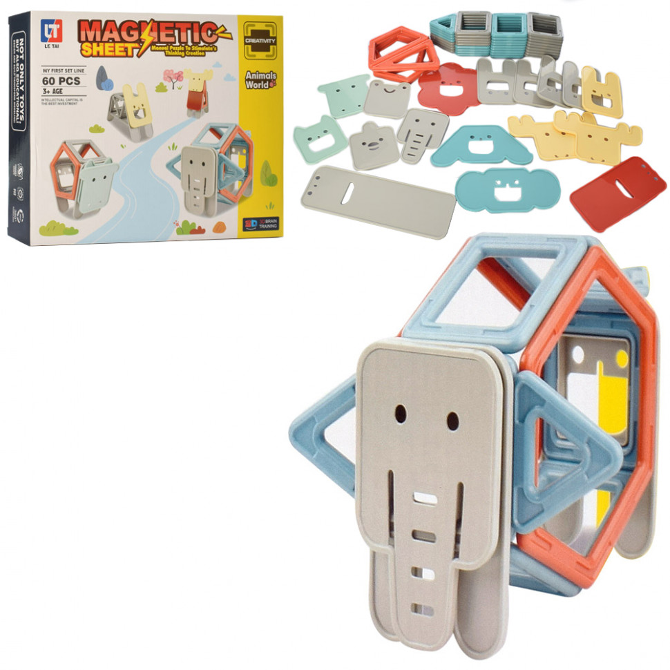 

Магнитный 3D-конструктор Magnetic LT2007 60 дет.