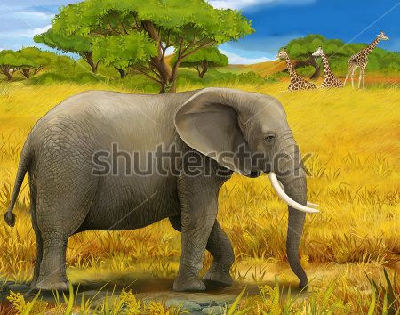 

Фотообои ArtSide Сафари (169127402) Штукатурка