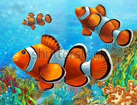 

Фотообои ArtSide Рыбки (134487812) Штукатурка