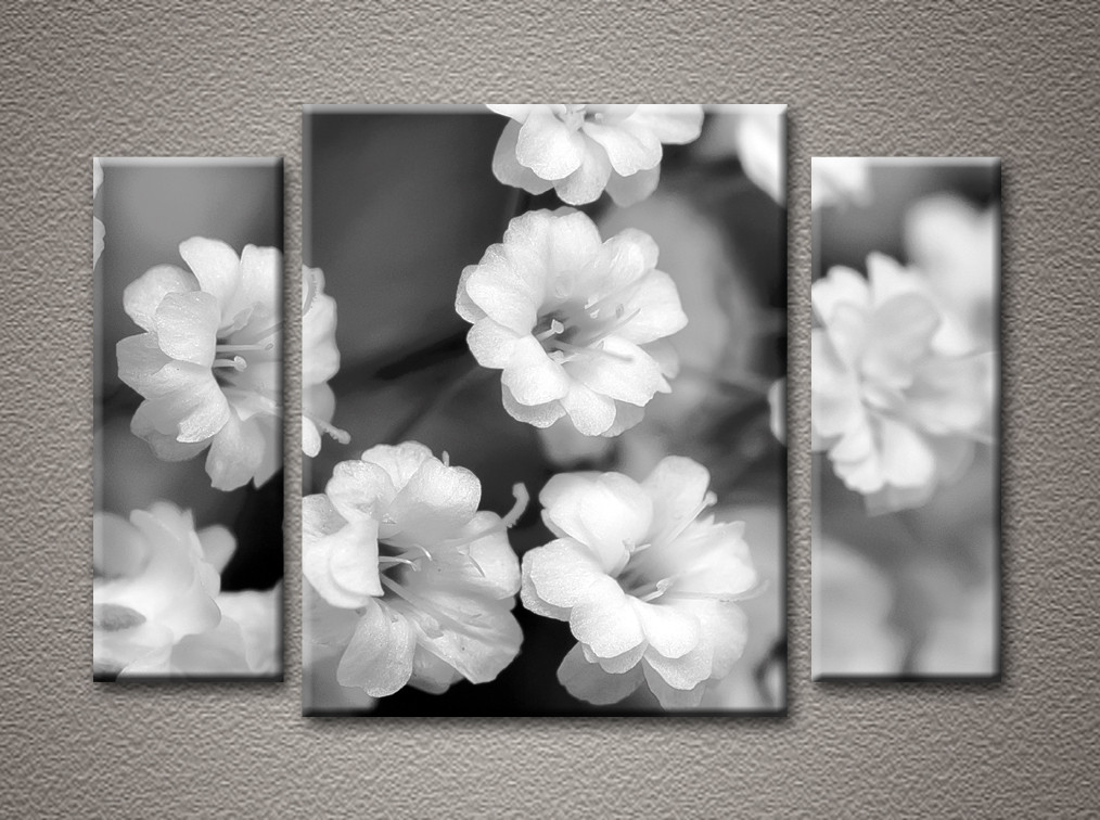 

Модульная картина Art&Print Цветы 85х60 см (НАТ-98)