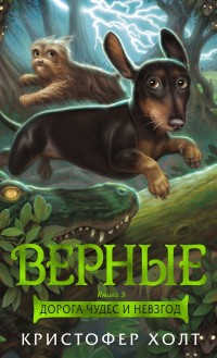 

Верные. Книга 3. Дорога чудес и невзгод (15601130)
