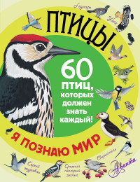 

Птицы (13655245)