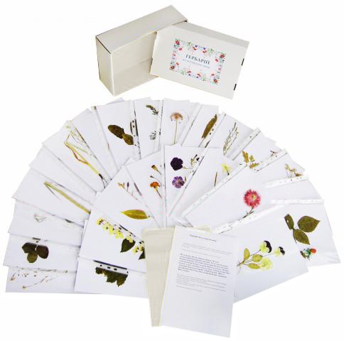 

Гербарий «Культурные растения» White