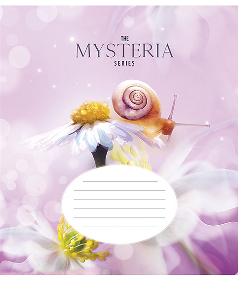 

Набор тетрадей ученических Star The Mysteria series В5 в линию 24 листа 25 шт (5 дизайнов) (024-2731L)