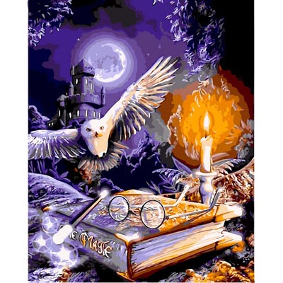 

Картина раскраска Babylon Гарри Поттер Сова и книга VP1119 40 х 50 см