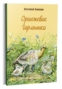 

Оранжевое горлышко (15275398)