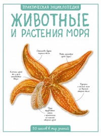 

Животные и растения моря (15321840)