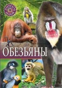 

Обезьяны (15062726)