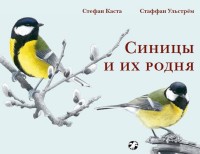 

Синицы и их родня (14884829)