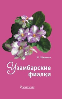 

Узамбарские фиалки (14898733)
