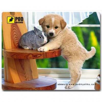 

Килимок Pod Mishkou Щеночек
