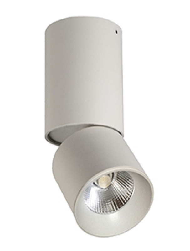 

Точечный светильник Polux 309488 Nixa White