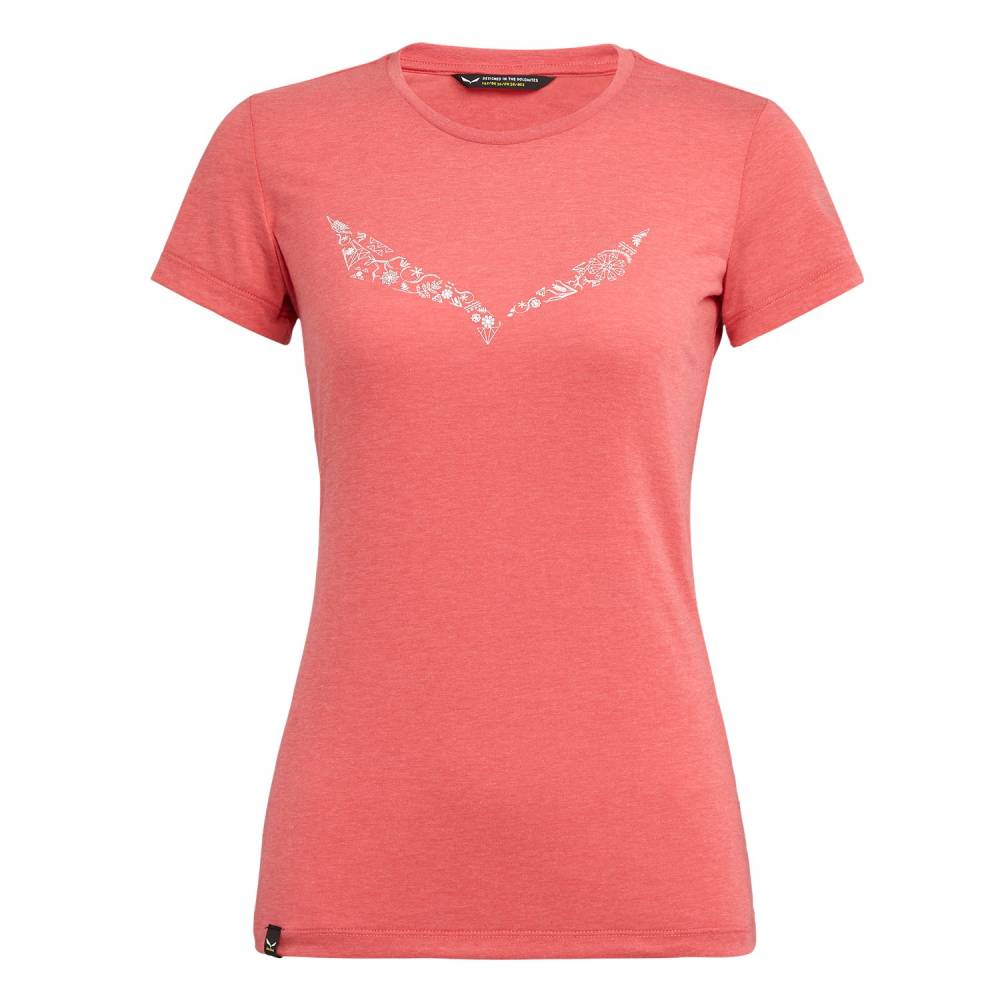 

Футболка Salewa Solidlogo Dri-Release Wmn 46/40 Рожевий (1054-013.002.6965)