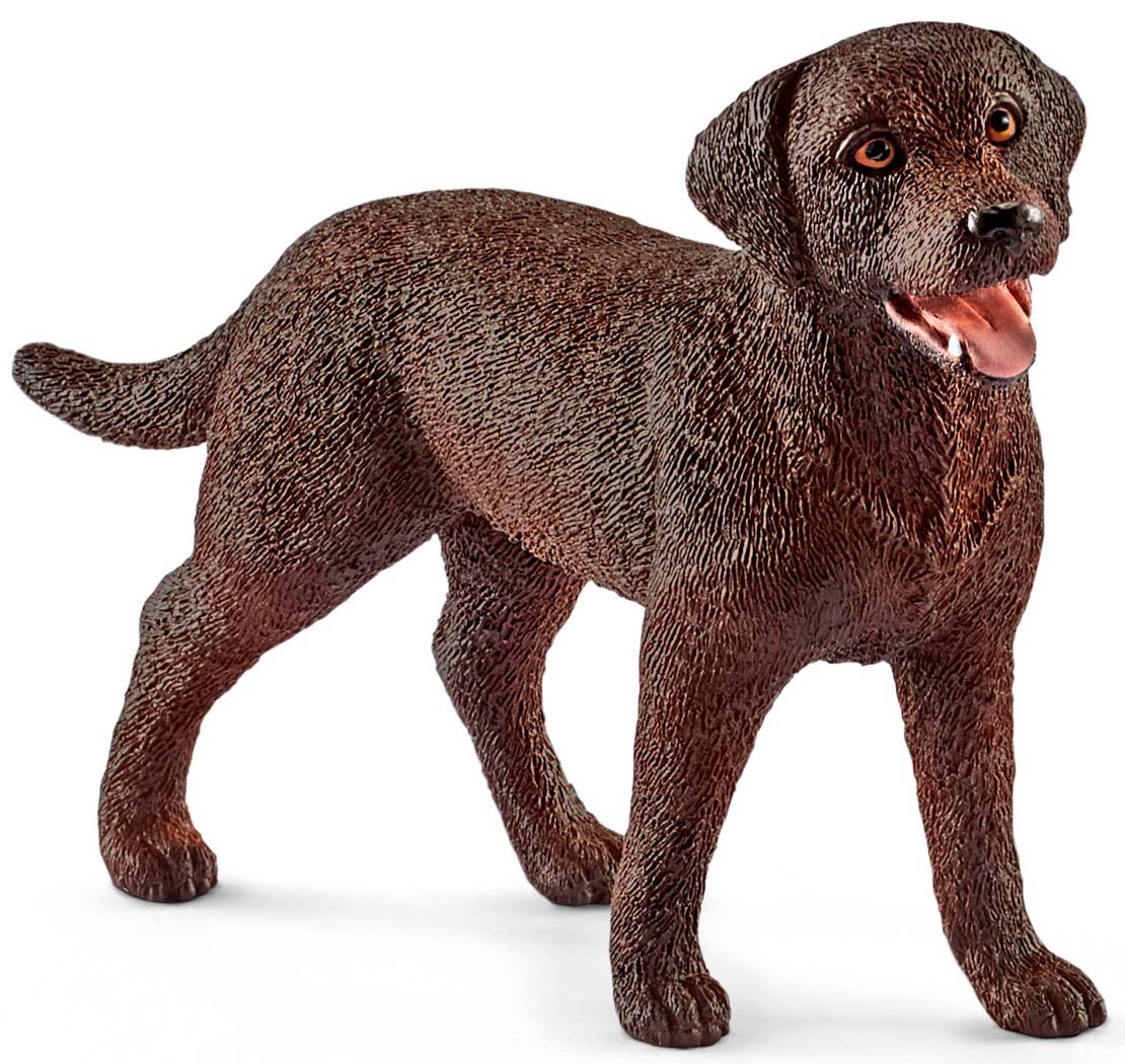 

Лабрадор ретривер (самка), игрушка-фигурка, Schleich (12-33421)
