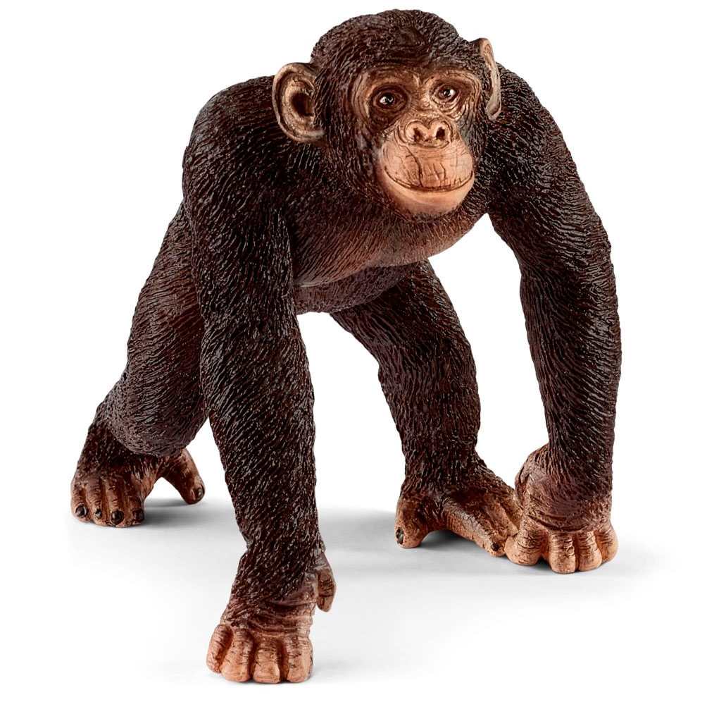 

Шимпанзе, самец, игрушка-фигурка, Schleich (12-53887)