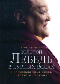 

Золотой лебедь в бурных водах. Необыкновенная жизнь Десятого Кармапы.