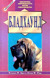

Бладхаунд (12858851)