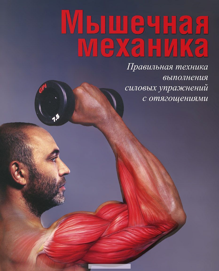 

Мышечная механика