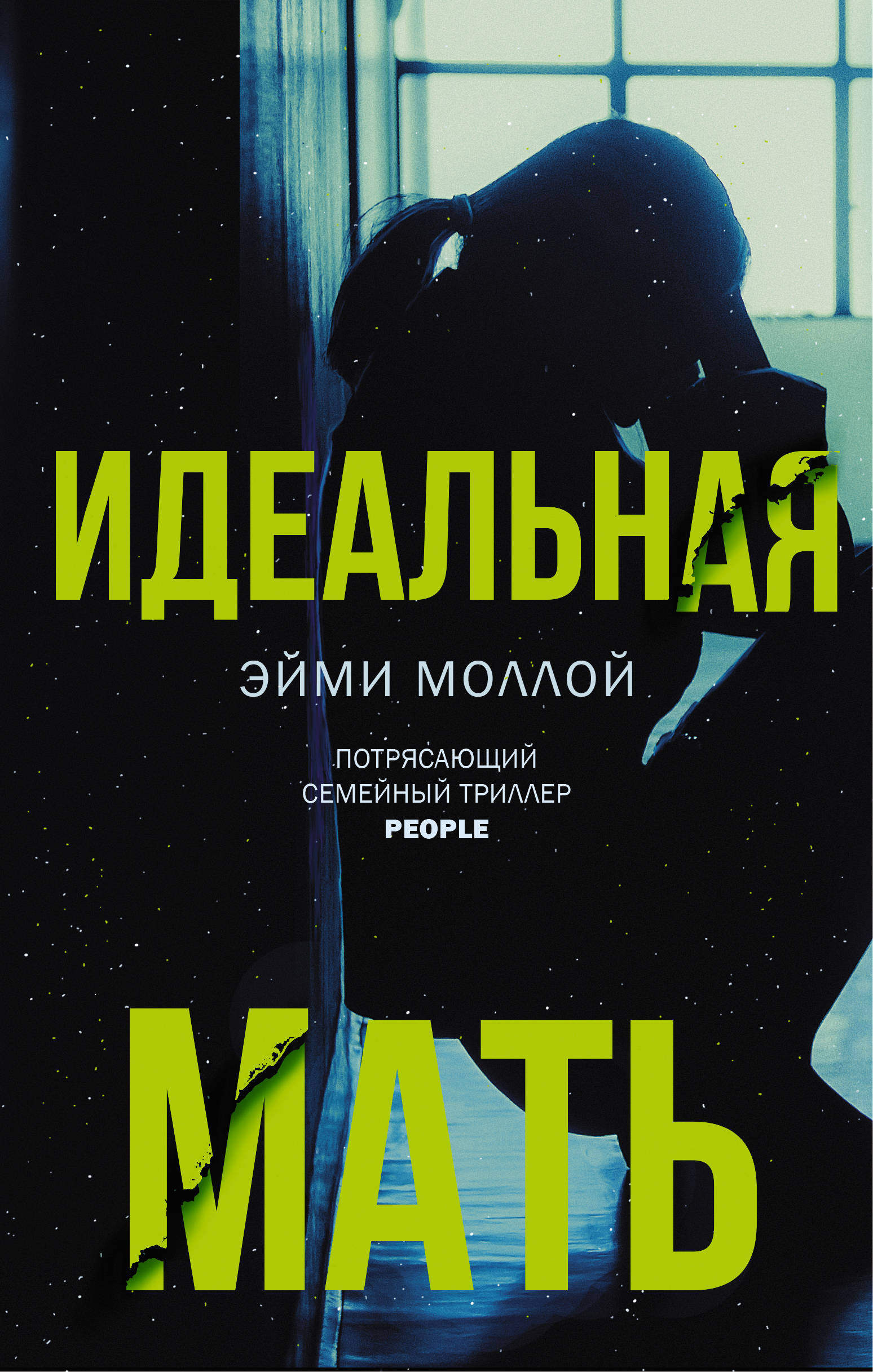 

Идеальная мать (1775835)
